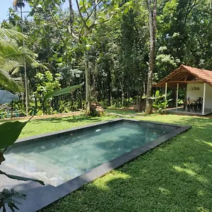 Pool - The Humming Trees, Pala Lalam